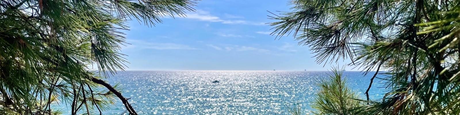 Sozialversicherungsprüfung Spanien